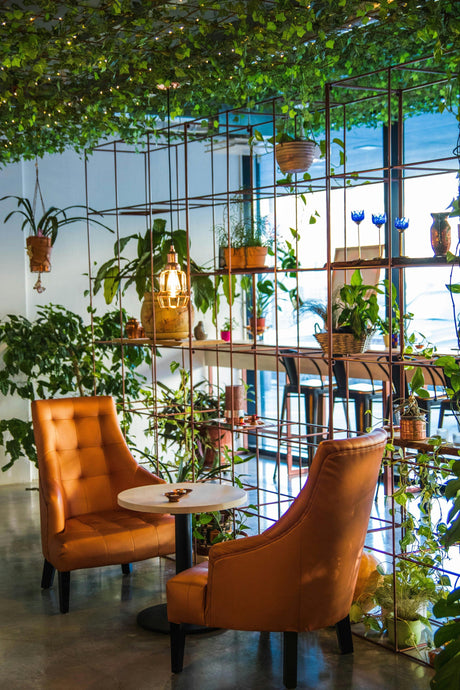 Alledaagse duurzaamheidsmagie voor een groener leven - House Of Dreamz